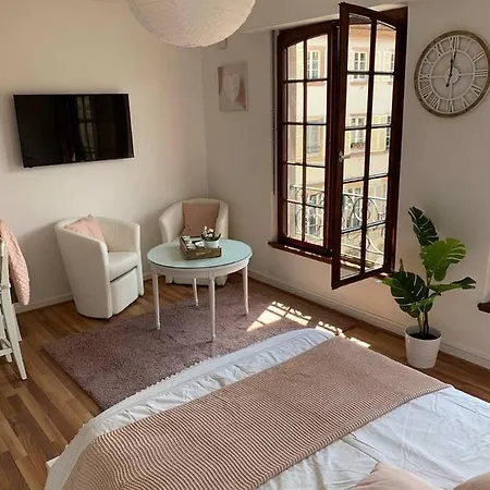 Apartment Joli Studio Renove En Plein Coeur De Straßburg