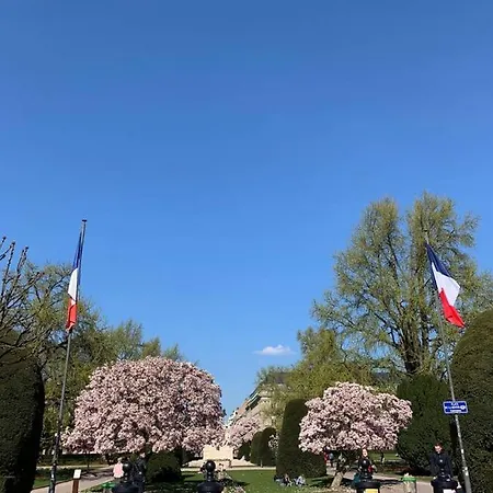 Joli Studio Renove En Plein Coeur De Strasbourg
