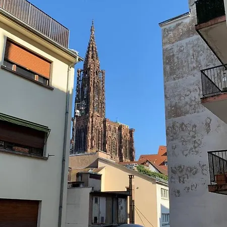 Joli Studio Renove En Plein Coeur De Appartement
