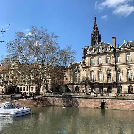 Joli Studio Renove En Plein Coeur De Strasbourg