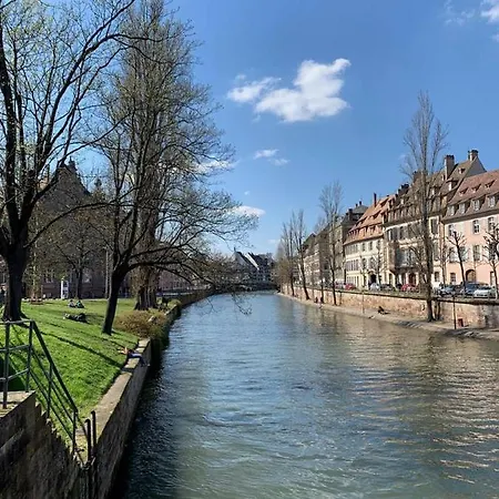 Joli Studio Renove En Plein Coeur De Strasbourg